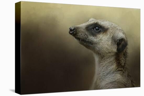 The Meerkat-Jai Johnson-Premier Image Canvas