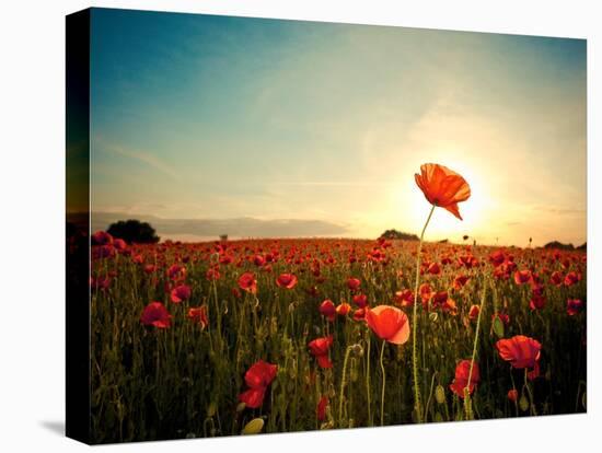 The Memory-Mark Gemmell-Premier Image Canvas