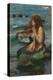 The Mermaid, 1892-John William Waterhouse-Premier Image Canvas