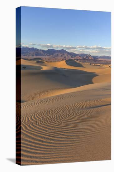 The Mesquite Sand Dunes in Death Valley National Park, California, USA-Chuck Haney-Premier Image Canvas