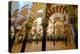 The Mezquita of Cordoba, Andalucia, Spain-Carlo Morucchio-Premier Image Canvas