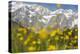 The Mieming Range with Yellow Flowers in the Foreground as Bokeh-Niki Haselwanter-Premier Image Canvas