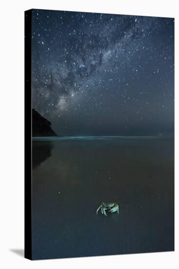 The Milky Way Above a Crab on a Beach-Alex Saberi-Premier Image Canvas