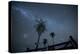 The Milky Way Above Palm Trees and a Wooden Farm Gate-Alex Saberi-Premier Image Canvas