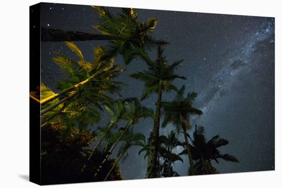 The Milky Way Above the Atlantic Rainforest Jungle and Palm Trees-Alex Saberi-Premier Image Canvas