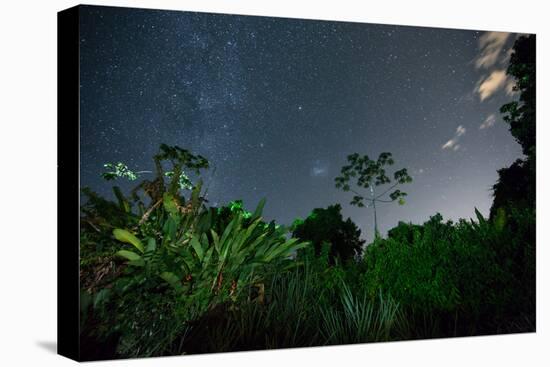 The Milky Way Above the Ubatuba Jungle at Night-Alex Saberi-Premier Image Canvas