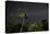 The Milky Way Above Tropical Trees and Foliage of the Atlantic Rainforest, at Night-Alex Saberi-Premier Image Canvas
