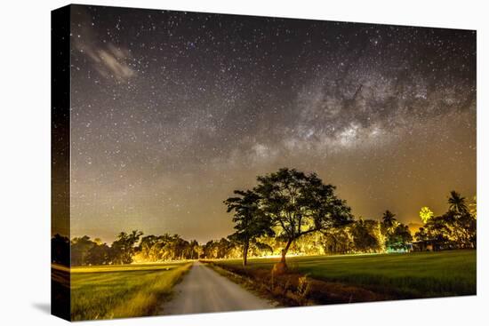 The Milky Way and the Tree Stand Alone and Road-a aizat-Premier Image Canvas