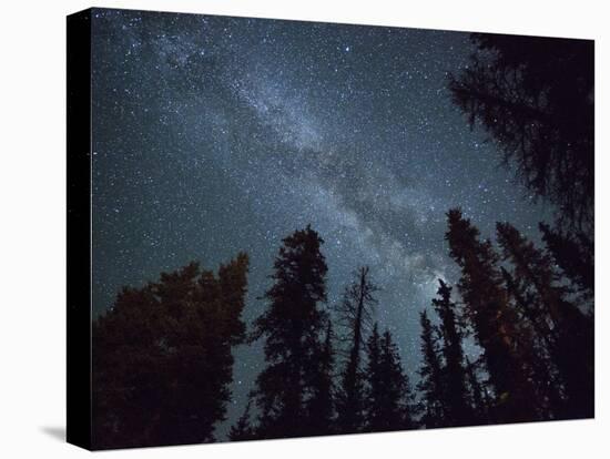 The Milky Way Shines Above the Forest in the San Juan Mountains of Southern Colorado.-Ryan Wright-Premier Image Canvas