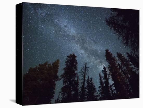 The Milky Way Shines Above the Forest in the San Juan Mountains of Southern Colorado.-Ryan Wright-Premier Image Canvas