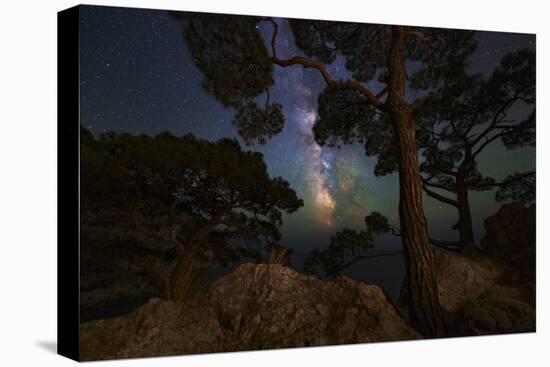 The Milky Way Shining Through the Trees on the Coast of the Black Sea-Stocktrek Images-Premier Image Canvas