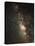 The Milky Way-John Sanford-Premier Image Canvas