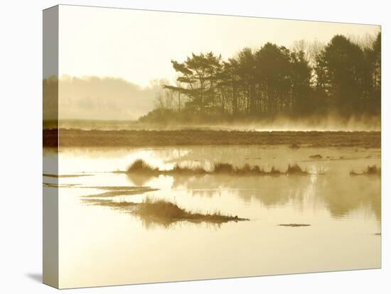 The Mist Rises over a Peaceful Dawn on the Marsh, Scarborough, Maine-Nance Trueworthy-Premier Image Canvas