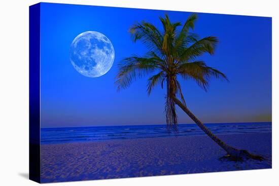 The Moon Shining in a Deserted Tropical Beach at Midnight with a Coconut Palm Tree in the Foregroun-Kamira-Premier Image Canvas