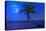 The Moon Shining in a Deserted Tropical Beach at Midnight with a Coconut Palm Tree in the Foregroun-Kamira-Premier Image Canvas
