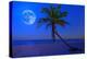 The Moon Shining in a Deserted Tropical Beach at Midnight with a Coconut Palm Tree in the Foregroun-Kamira-Premier Image Canvas