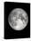 The Moon-Design Fabrikken-Premier Image Canvas