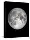 The Moon-Design Fabrikken-Premier Image Canvas