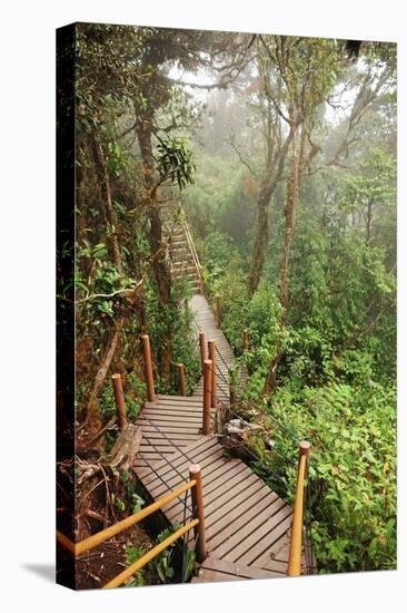 The Mossy Forest, Gunung Brinchang, Cameron Highlands, Pahang, Malaysia, Southeast Asia, Asia-Jochen Schlenker-Premier Image Canvas