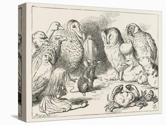 The Mouse Holds Court-John Tenniel-Premier Image Canvas