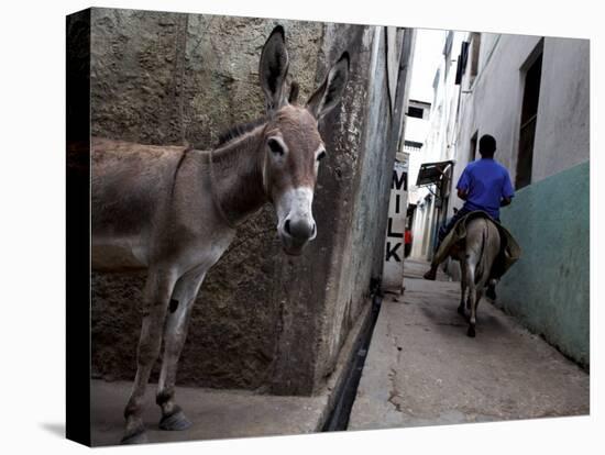 The Narrow Streets of Lamu Town, Lamu, Kenya, East Africa, Africa-Andrew Mcconnell-Premier Image Canvas