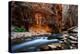 The Narrows In Zion National Park, Utah-Austin Cronnelly-Premier Image Canvas