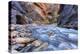 The Narrows of the Virgin River in autumn in Zion NP, Utah, USA-Chuck Haney-Premier Image Canvas