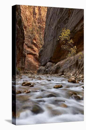 The Narrows of the Virgin River in the Fall-James Hager-Premier Image Canvas