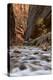 The Narrows of the Virgin River in the Fall-James Hager-Premier Image Canvas