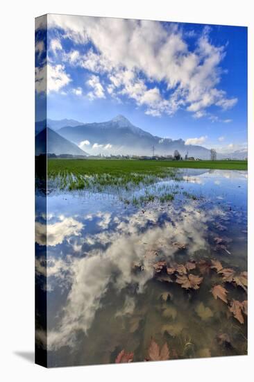 The Natural Reserve of Pian Di Spagna Flooded with Mount Legnone Reflected in the Water, Italy-Roberto Moiola-Premier Image Canvas
