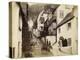The New Inn and Street, Clovelly, Devon, Late 19th or Early 20th Century-null-Premier Image Canvas