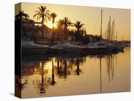 The New Marina, Cala d'Or, Majorca (Mallorca), Balearic Islands, Spain, Europe-Ruth Tomlinson-Premier Image Canvas