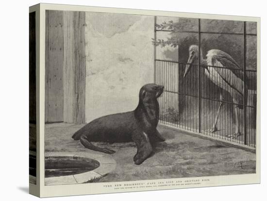 The New Neighbour, Cape Sea Lion and Adjutant Bird-Henry Stacey Marks-Premier Image Canvas