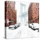 The New York Blizzard 2-Bruce Getty-Premier Image Canvas