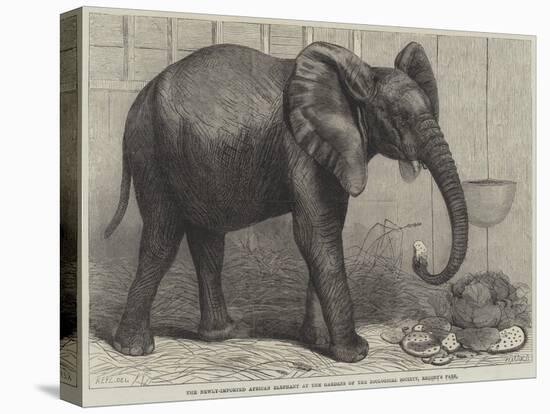 The Newly-Imported African Elephant at the Gardens of the Zoological Society, Regent's Park-Friedrich Wilhelm Keyl-Premier Image Canvas
