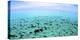 The North Sound on a Flat Calm Morning, Grand Cayman-Stocktrek Images-Premier Image Canvas