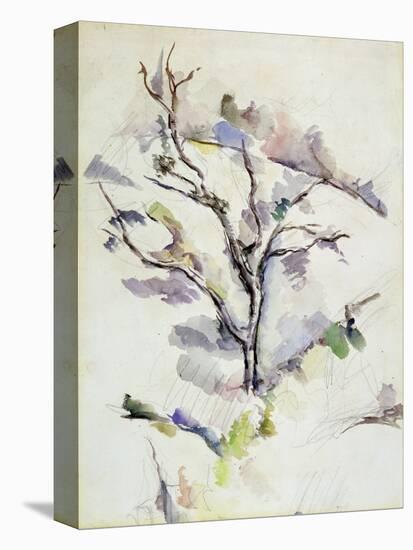 The Oak-Paul Cézanne-Premier Image Canvas