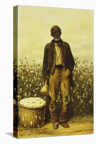 The Old Cotton Picker-William Aiken Walker-Premier Image Canvas