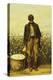 The Old Cotton Picker-William Aiken Walker-Premier Image Canvas