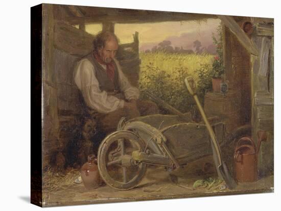 The Old Gardener, 1863-Briton Riviere-Premier Image Canvas