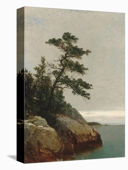 The Old Pine, Darien, Connecticut, 1872-John Frederick Kensett-Premier Image Canvas