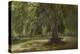 The Old Plane Tree-George Wallis-Premier Image Canvas