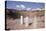 The Old Roman Theatre of Fourviere in the City of Lyon, Rhone-Alpes, France, Europe-Julian Elliott-Premier Image Canvas