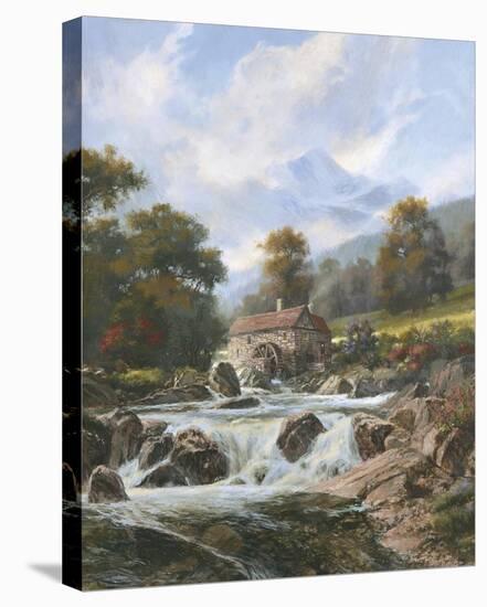 The Old Stone Mill-Nenad Mirkovich-Stretched Canvas