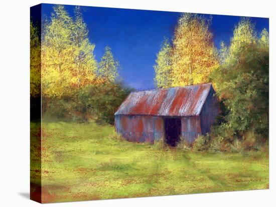 The Old Tin Shack, 2010-Anthony Rule-Premier Image Canvas