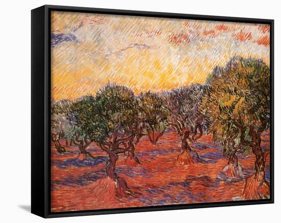 The Olive Grove, c.1889-null-Stretched Canvas