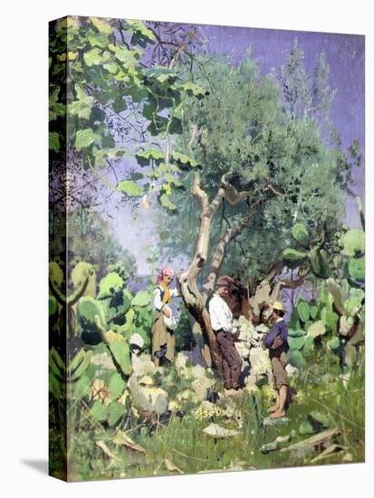 The Olive Harvest, 1884 by Peder Monsted-Peder Monsted-Premier Image Canvas