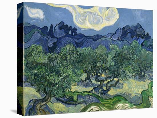 The Olive Trees, 1889-Vincent van Gogh-Premier Image Canvas