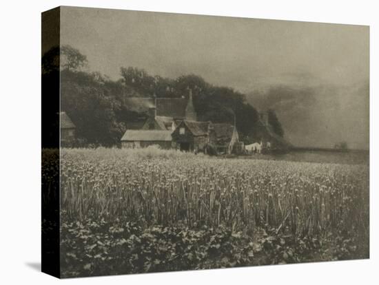 The Onion Field-George Davison-Premier Image Canvas