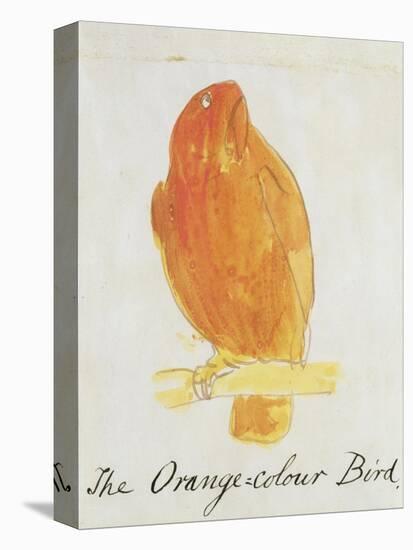 The Orange Colour Bird, from "Sixteen Drawings of Comic Birds"-Edward Lear-Premier Image Canvas